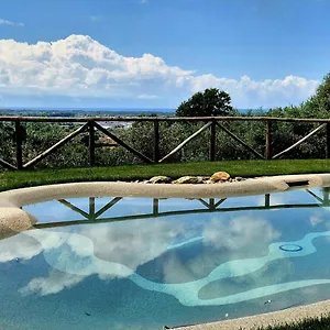 Olivemare Bed & Breakfast